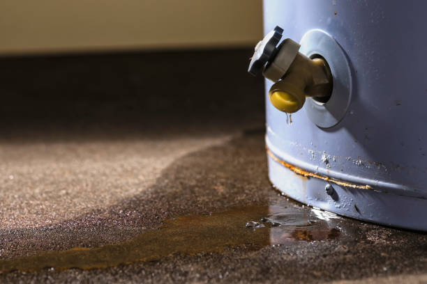 Water damage restoration experts in MT