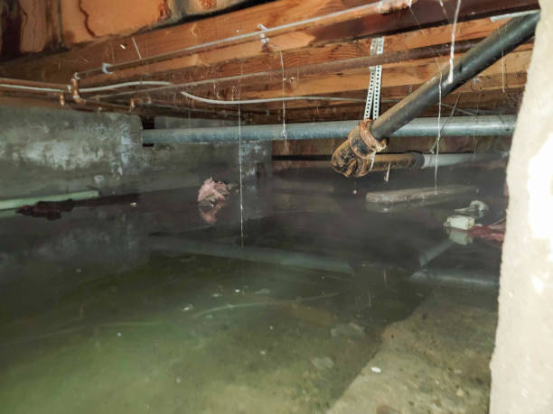 Best Fire Damage Restoration  in Helena Valley Southeast, MT