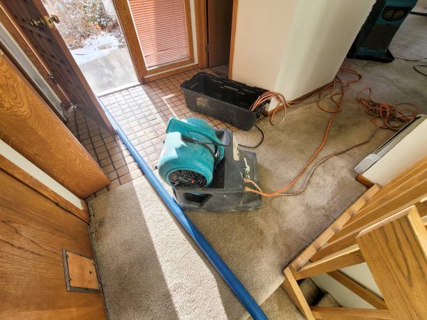 Best Sewage cleanup and water damage restoration  in Helena Valley Southeast, MT