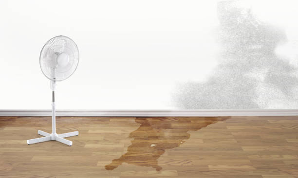 Best Commercial water damage restoration  in Helena Valley Southeast, MT