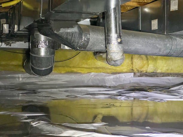 Trusted MT Water damage restoration Experts